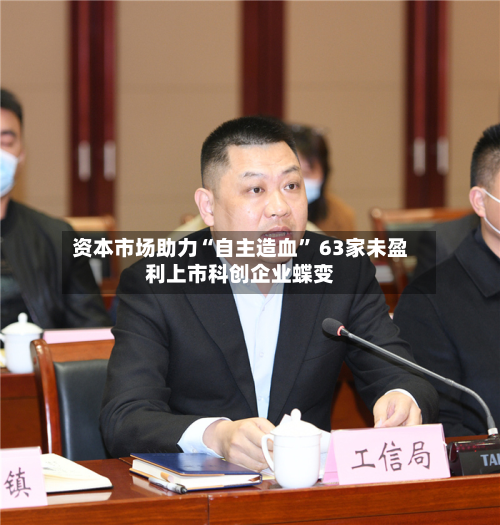 资本市场助力“自主造血” 63家未盈利上市科创企业蝶变-第2张图片
