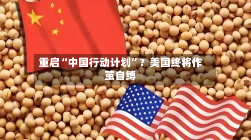 重启“中国行动计划”？美国终将作茧自缚-第3张图片