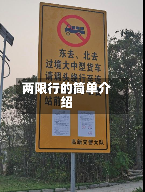 两限行的简单介绍-第1张图片