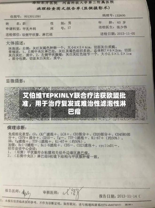 艾伯维TEPKINLY联合疗法获欧盟批准，用于治疗复发或难治性滤泡性淋巴瘤-第2张图片