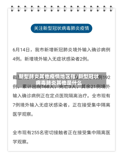 新型肺炎其他疫情地区指/新型冠状病毒肺炎其他是什么-第1张图片