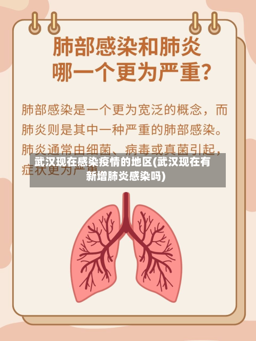 武汉现在感染疫情的地区(武汉现在有新增肺炎感染吗)-第1张图片
