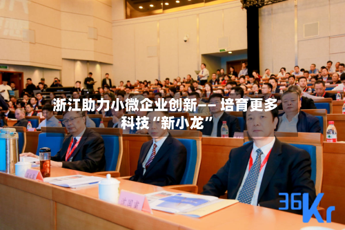 浙江助力小微企业创新—— 培育更多科技“新小龙	”-第3张图片