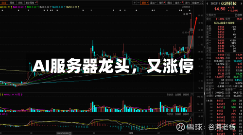 AI服务器龙头，又涨停-第3张图片