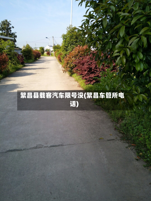 繁昌县载客汽车限号没(繁昌车管所 *** )