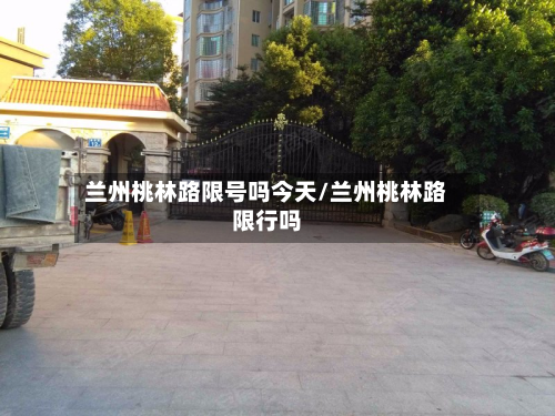 兰州桃林路限号吗今天/兰州桃林路限行吗-第1张图片