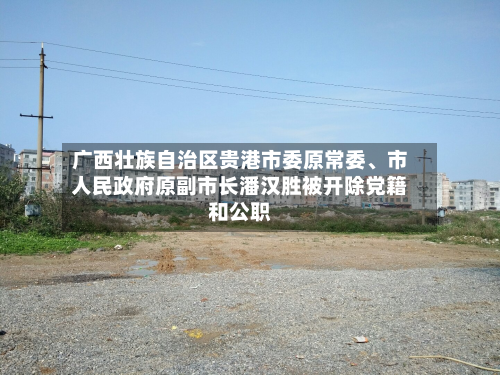 广西壮族自治区贵港市委原常委、市人民政府原副市长潘汉胜被开除党籍和公职-第3张图片