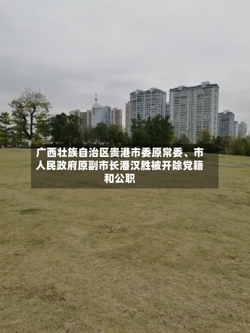 广西壮族自治区贵港市委原常委	、市人民政府原副市长潘汉胜被开除党籍和公职-第2张图片