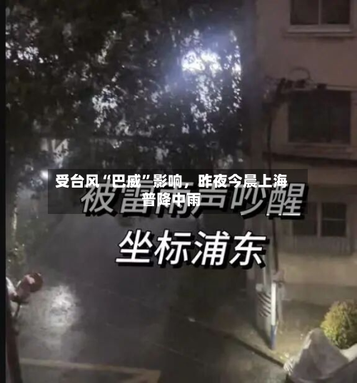 受台风“巴威	”影响，昨夜今晨上海普降中雨-第3张图片
