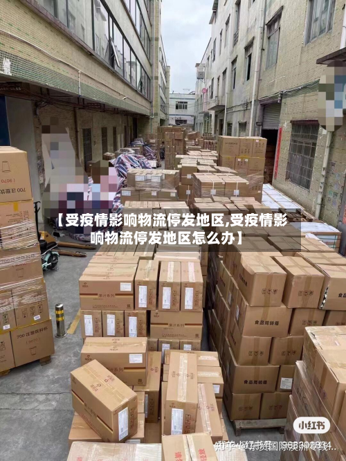 【受疫情影响物流停发地区,受疫情影响物流停发地区怎么办】-第1张图片
