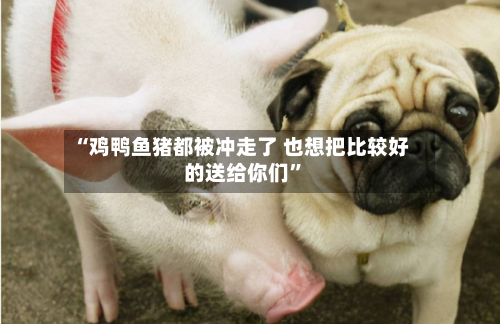 “鸡鸭鱼猪都被冲走了 也想把比较好的送给你们”-第3张图片