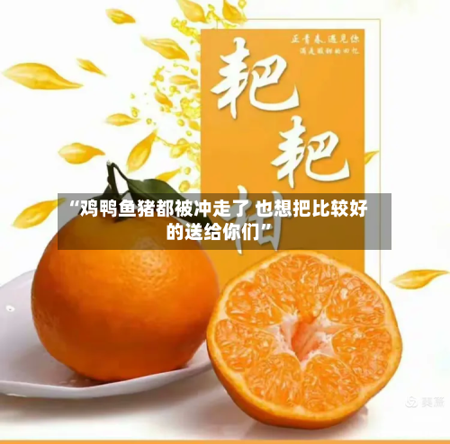 “鸡鸭鱼猪都被冲走了 也想把比较好的送给你们”-第2张图片