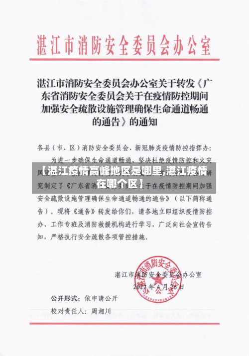 【湛江疫情高峰地区是哪里,湛江疫情在哪个区】-第1张图片