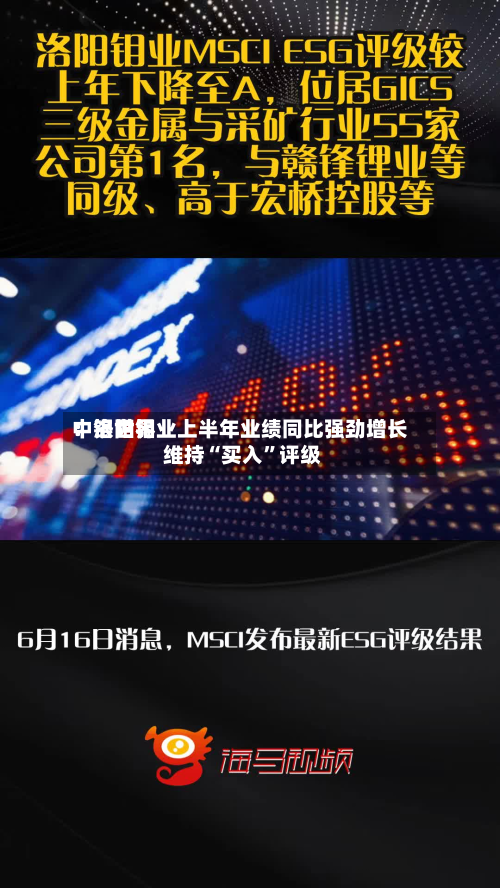中银世界：洛阳钼业上半年业绩同比强劲增长 维持“买入	”评级-第3张图片