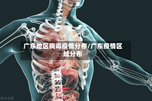 广东地区病毒疫情分布/广东疫情区域分布-第1张图片