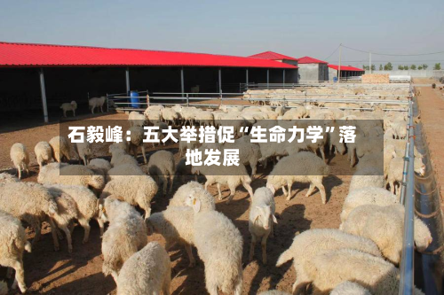 石毅峰：五大举措促“生命力学	”落地发展-第2张图片
