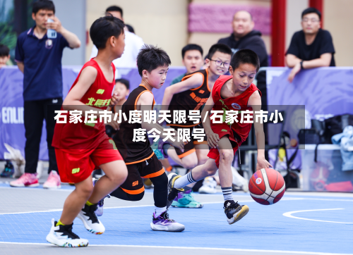 石家庄市小度明天限号/石家庄市小度今天限号-第1张图片