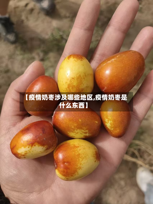 【疫情奶枣涉及哪些地区,疫情奶枣是什么东西】-第1张图片