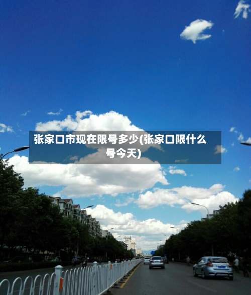 张家口市现在限号多少(张家口限什么号今天)-第1张图片