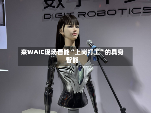 来WAIC现场看能“上岗打工	”的具身智能-第3张图片