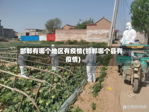 邯郸有哪个地区有疫情(邯郸哪个县有疫情)-第1张图片