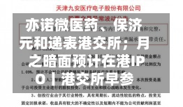 亦诺微医药、保济元和递表港交所；月之暗面预计在港IPO丨港交所早参-第2张图片