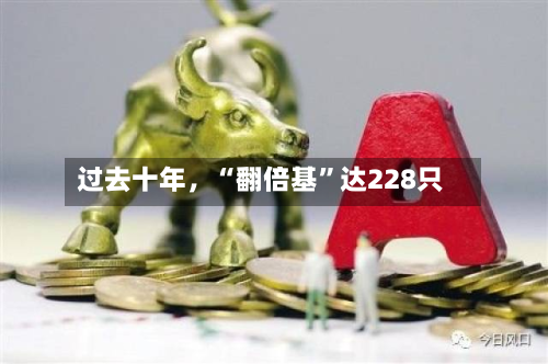过去十年，“翻倍基”达228只-第2张图片