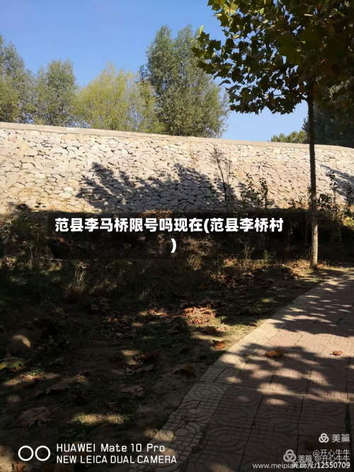 范县李马桥限号吗现在(范县李桥村)-第1张图片