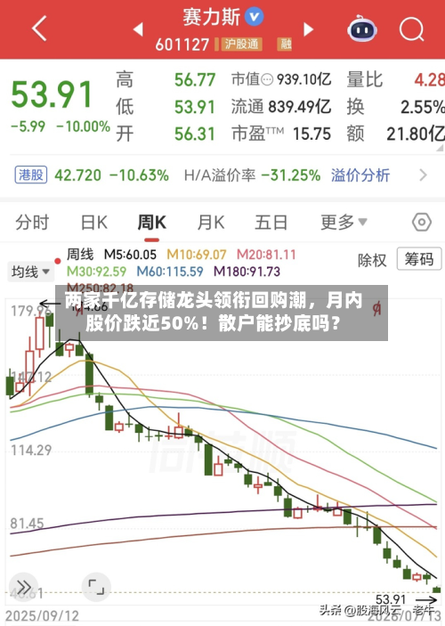 两家千亿存储龙头领衔回购潮	，月内股价跌近50%！散户能抄底吗？-第2张图片