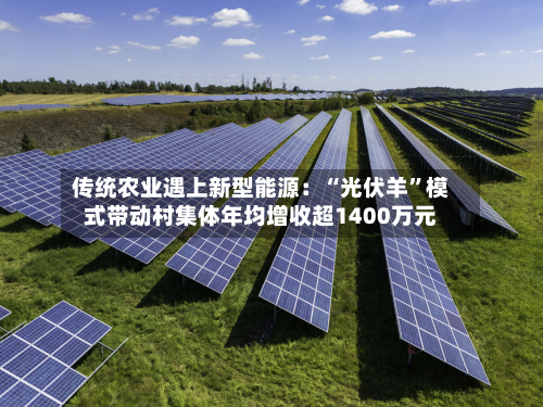 传统农业遇上新型能源：“光伏羊”模式带动村集体年均增收超1400万元-第2张图片