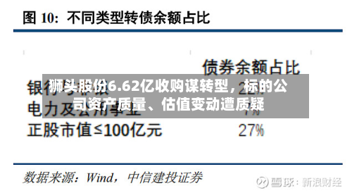 狮头股份6.62亿收购谋转型	，标的公司资产质量、估值变动遭质疑-第3张图片