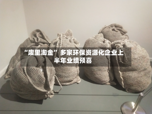 “废里淘金” 多家环保资源化企业上半年业绩预喜-第2张图片