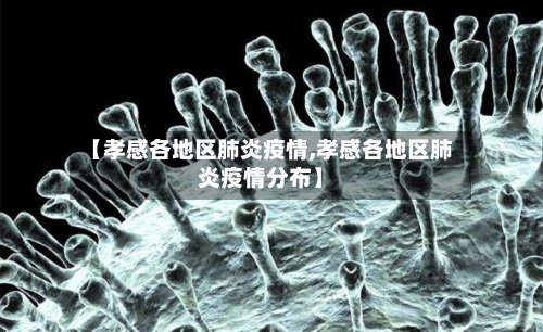 【孝感各地区肺炎疫情,孝感各地区肺炎疫情分布】-第1张图片