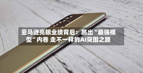 亚马逊亮眼业绩背后：跳出“最强模型	”内卷 走不一样的AI突围之路-第2张图片