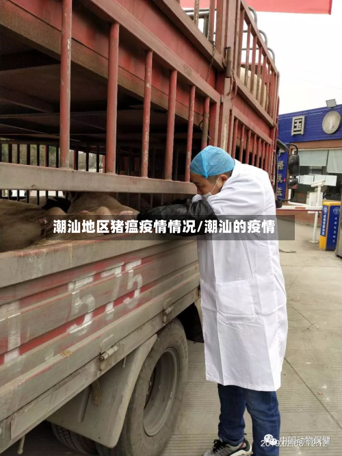 潮汕地区猪瘟疫情情况/潮汕的疫情-第1张图片