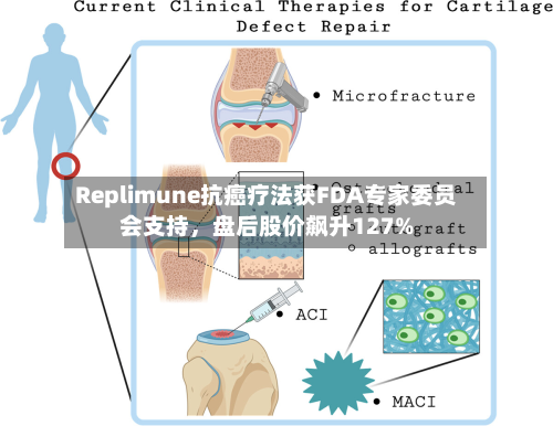 Replimune抗癌疗法获FDA专家委员会支持	，盘后股价飙升127%-第2张图片