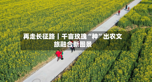 再走长征路｜千亩玫瑰“种”出农文旅融合新图景-第2张图片