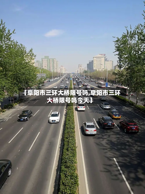 【阜阳市三环大桥限号吗,阜阳市三环大桥限号吗今天】-第1张图片