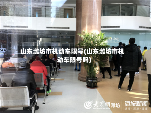 山东潍坊市机动车限号(山东潍坊市机动车限号吗)-第1张图片
