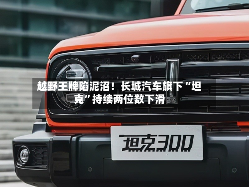 越野王牌陷泥沼！长城汽车旗下“坦克”持续两位数下滑-第2张图片