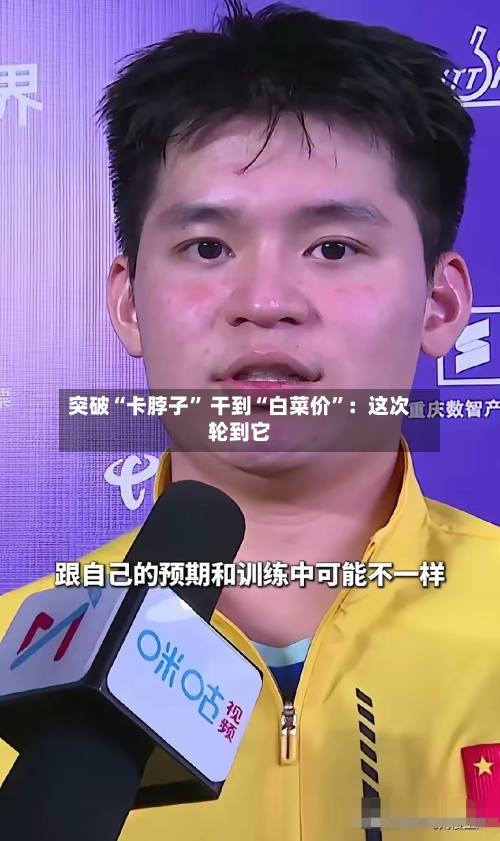 突破“卡脖子	” 干到“白菜价”：这次轮到它-第2张图片