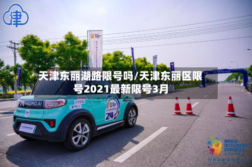 天津东丽湖路限号吗/天津东丽区限号2021最新限号3月-第1张图片