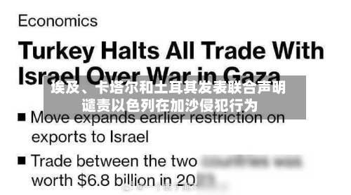 埃及、卡塔尔和土耳其发表联合声明 谴责以色列在加沙侵犯行为-第2张图片