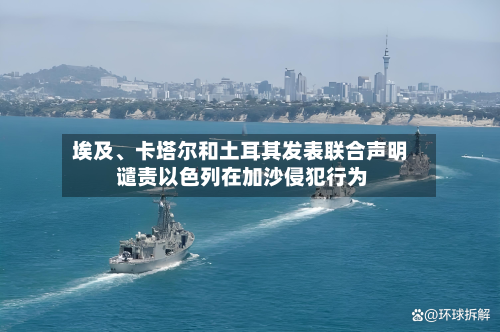 埃及	、卡塔尔和土耳其发表联合声明 谴责以色列在加沙侵犯行为-第3张图片