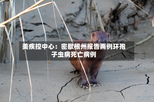 美疾控中心:密歇根州报告两例环孢子虫病死亡病例-第1张图片