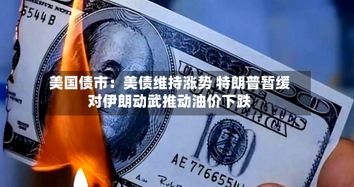 美国债市:美债维持涨势 特朗普暂缓对伊朗动武推动油价下跌-第2张图片