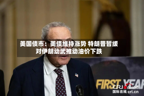 美国债市:美债维持涨势 特朗普暂缓对伊朗动武推动油价下跌-第3张图片