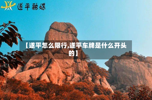 【遂平怎么限行,遂平车牌是什么开头的】-第1张图片