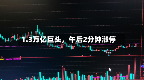 1.3万亿巨头，午后2分钟涨停-第3张图片