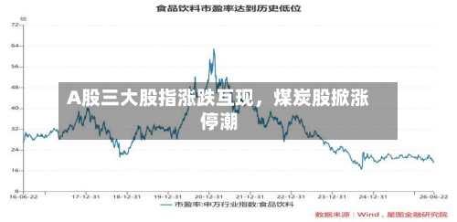 A股三大股指涨跌互现，煤炭股掀涨停潮-第2张图片